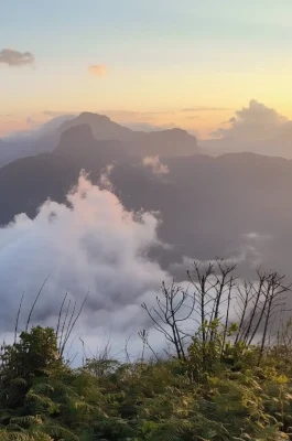 Lao Than Peak: Y Tý's Premier Cloud Hunting Trekking Destination
