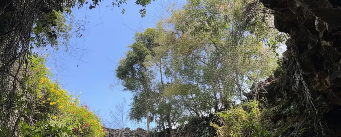 Dak Nong Volcanic Caves: UNESCO Geopark & Southeast Asia’s Longest Lava Tube System