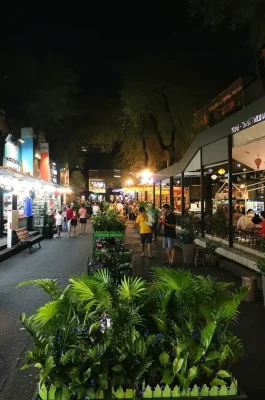 Ho Chi Minh City Book Street: Literary Hub & Central Oasis