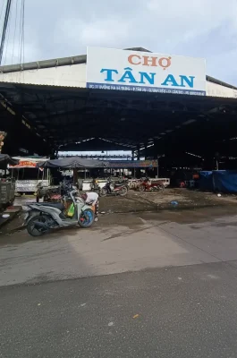 Tan An Market Can Tho: Authentic Mekong Delta Wholesale & Local Life