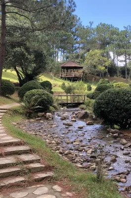 Dalat Golden Valley Tourist Park: Scenic Pine Forest & Dankia Lake Views