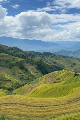 Mam Xoi Hill: Mu Cang Chai's Iconic Rice Terrace Viewpoint