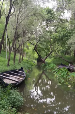 Ham Ho Gorge Binh Dinh: Halong Bay on Land & Côn River Boat Tour