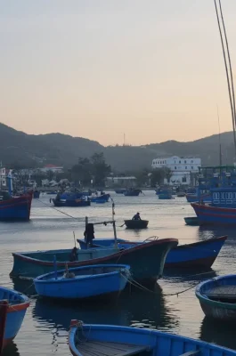 Vinh Hy Bay: Unspoiled Coral Reef Snorkeling & Nui Chua National Park Views