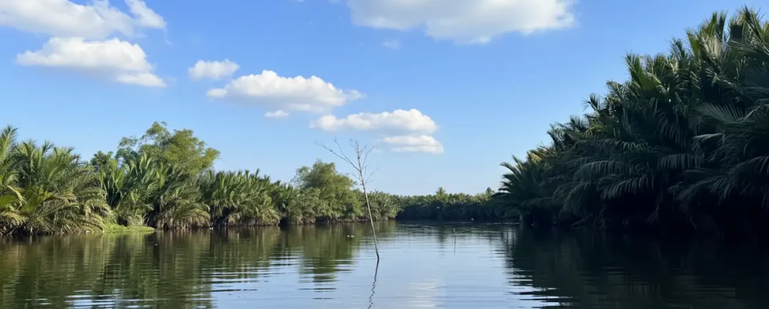 Cam Thanh Coconut Village: Basket Boat Tour in Hoi An's Nipa Palm Forest