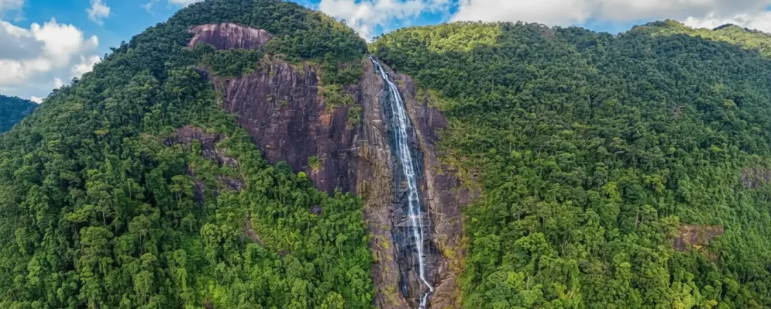 img_622a4ef1740e360bb9548bce3413ca20dr