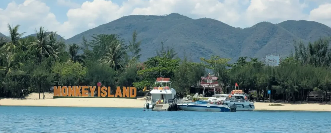 Hon Lao Monkey Island Nha Trang: Wild Macaque Colony & Day Trip Guide