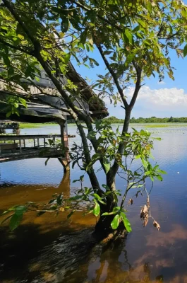 Tram Tra Loc Ecotourism: Quang Tri's Tranquil Lotus Lake Oasis