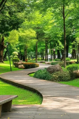 Tao Dan Park HCMC: Central Green Lung & Local Life Hub