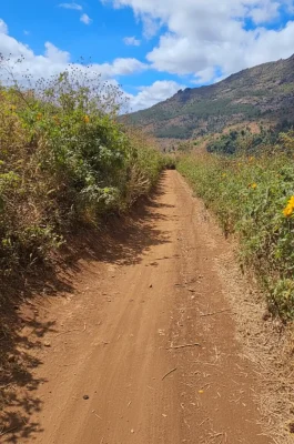Chu Dang Ya Volcano Pleiku: Wild Sunflower Festival & Ancient Crater Hike