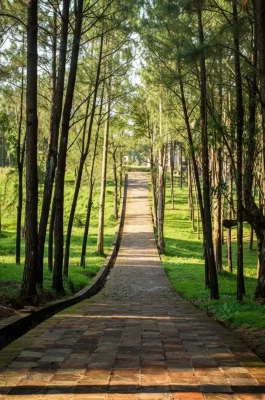 img_69ad1ae58d3f1ffb95046148a374c89bdr