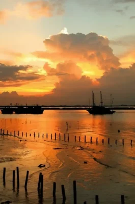 Do Son Beach: Historic Hai Phong Resort & Buffalo Fighting Festival Venue