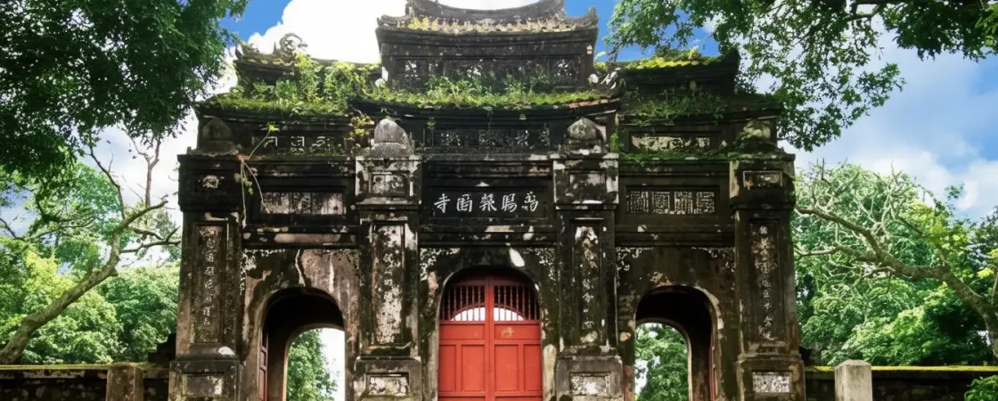 img_7113bc5d565d187aa204e8f7087c7324dr