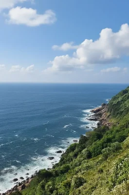 Ban Co Peak Da Nang: 360° Panoramic View of City & Son Tra Peninsula