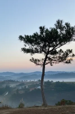 Thien Phuc Duc Hill Dalat: Premier Spot for Sunrise, Clouds & Camping