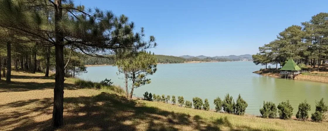 Dalat Golden Valley Tourist Park: Scenic Pine Forest & Dankia Lake Views