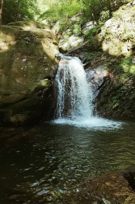 img_779f04247028d35ae394cbe38e150b80dr