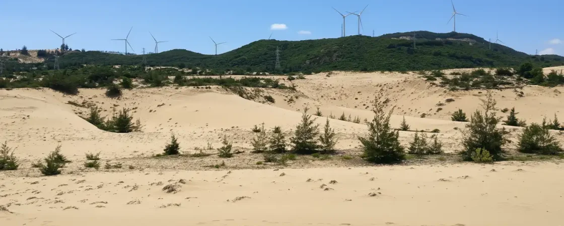 Phuong Mai Sand Dunes: Sandboarding & Coastal Desert Views near Quy Nhon