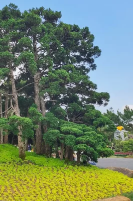 Da Lat Valley of Love: Romantic Gardens, Da Thien Lake & Activities