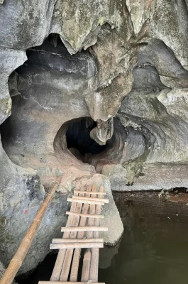 Buffalo Cave: Ninh Binh Farm Life Experience & Water Buffalo Interaction