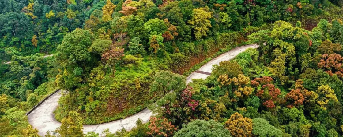 img_7db91cb0e9fbaffa55c47dcd184c7962dr