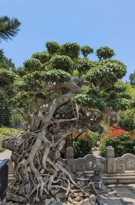 Truc Lam Zen Monastery Dalat: Scenic Cable Car & Tuyen Lam Lake View