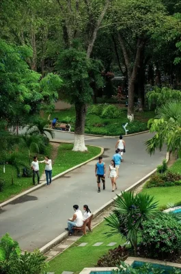 Hoang Van Thu Park HCMC: Green Oasis Near Tan Son Nhat Airport