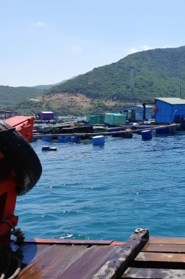 Bai Kinh Beach & Doi Qin Hill: Ninh Thuan Coastal Views & Snorkeling