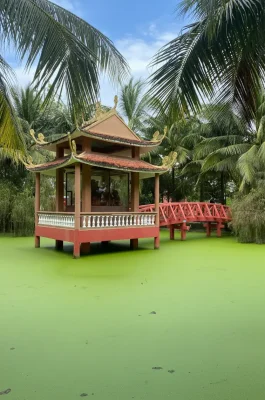 Truc Lam Phuong Nam Zen Monastery: Largest Mekong Delta Buddhist Temple