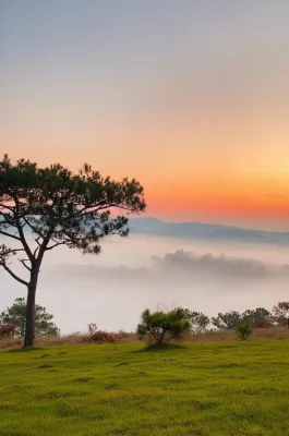 Thien Phuc Duc Hill Dalat: Premier Spot for Sunrise, Clouds & Camping