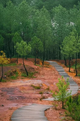 img_84f52c9bb040508b2054913d7306c62cdr