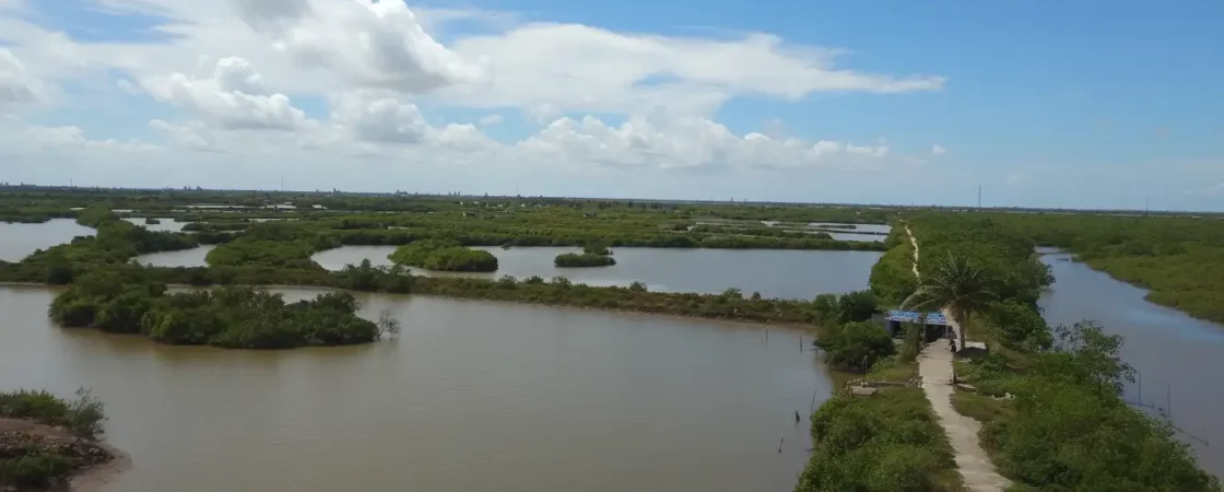 Xuan Thuy National Park: UNESCO Biosphere Reserve & Bird Sanctuary