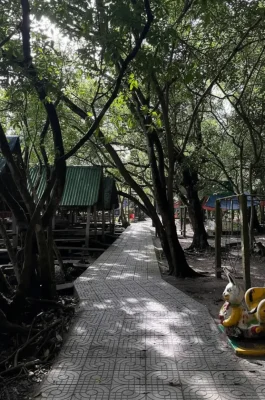 Tram Tra Loc Ecotourism: Quang Tri's Tranquil Lotus Lake Oasis