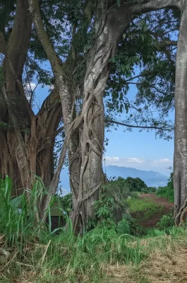 Ta Dung Lake: The Ha Long Bay of Vietnam’s Central Highlands