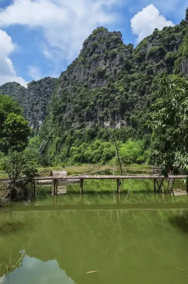 Buffalo Cave: Ninh Binh Farm Life Experience & Water Buffalo Interaction
