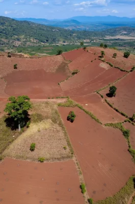Chu Dang Ya Volcano Pleiku: Wild Sunflower Festival & Ancient Crater Hike