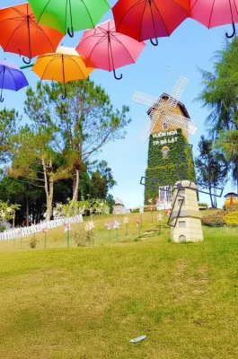 Dalat City Flower Garden: Botanical Paradise & Rare Orchid Exhibition