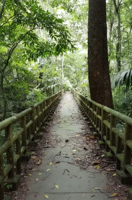 Cuc Phuong National Park: Vietnam's Oldest Tropical Rainforest & Wildlife Rescue
