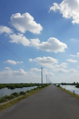 Xuan Thuy National Park: UNESCO Biosphere Reserve & Bird Sanctuary