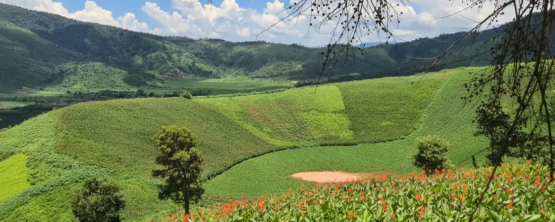 Chu Dang Ya Volcano Pleiku: Wild Sunflower Festival & Ancient Crater Hike