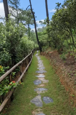 Dia Tang Phi Lai Pagoda: Ha Nam's Zen Retreat with White Pebble Garden