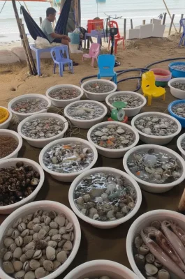 Mui Ne Fishing Village: Authentic Market for Fresh Seafood & Boats