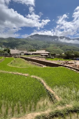 Muong Hoa Valley Sapa: Trekking, Terraced Rice Fields & Ethnic Culture