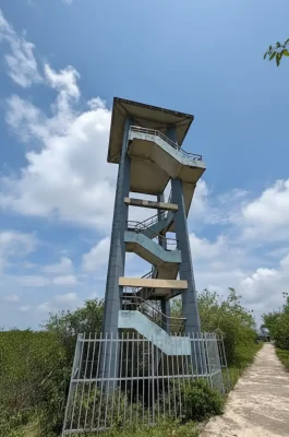 Xuan Thuy National Park: UNESCO Biosphere Reserve & Bird Sanctuary