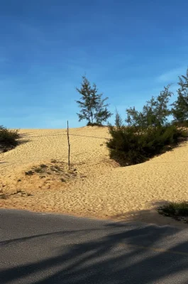 Quang Phu Sand Dunes: Dong Hoi Sand Sliding & Coastal Views