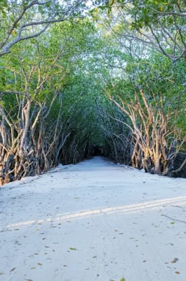 img_aa994c1fda8d6dcbd5b45556a6975a40dr