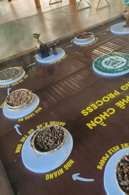 Me Linh Coffee Garden Dalat: Weasel Coffee Farm with Panoramic Valley View