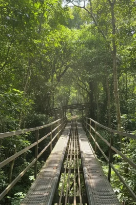 Datanla Waterfall Dalat: Alpine Coaster, Canyoning & Adventure Park