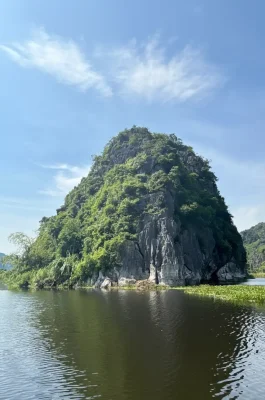 Van Long Nature Reserve: Wetland Sanctuary & Delacour's Langur Habitat