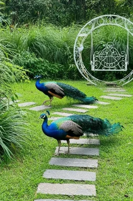 Saigon Zoo and Botanical Gardens: Historic HCMC Family Attraction